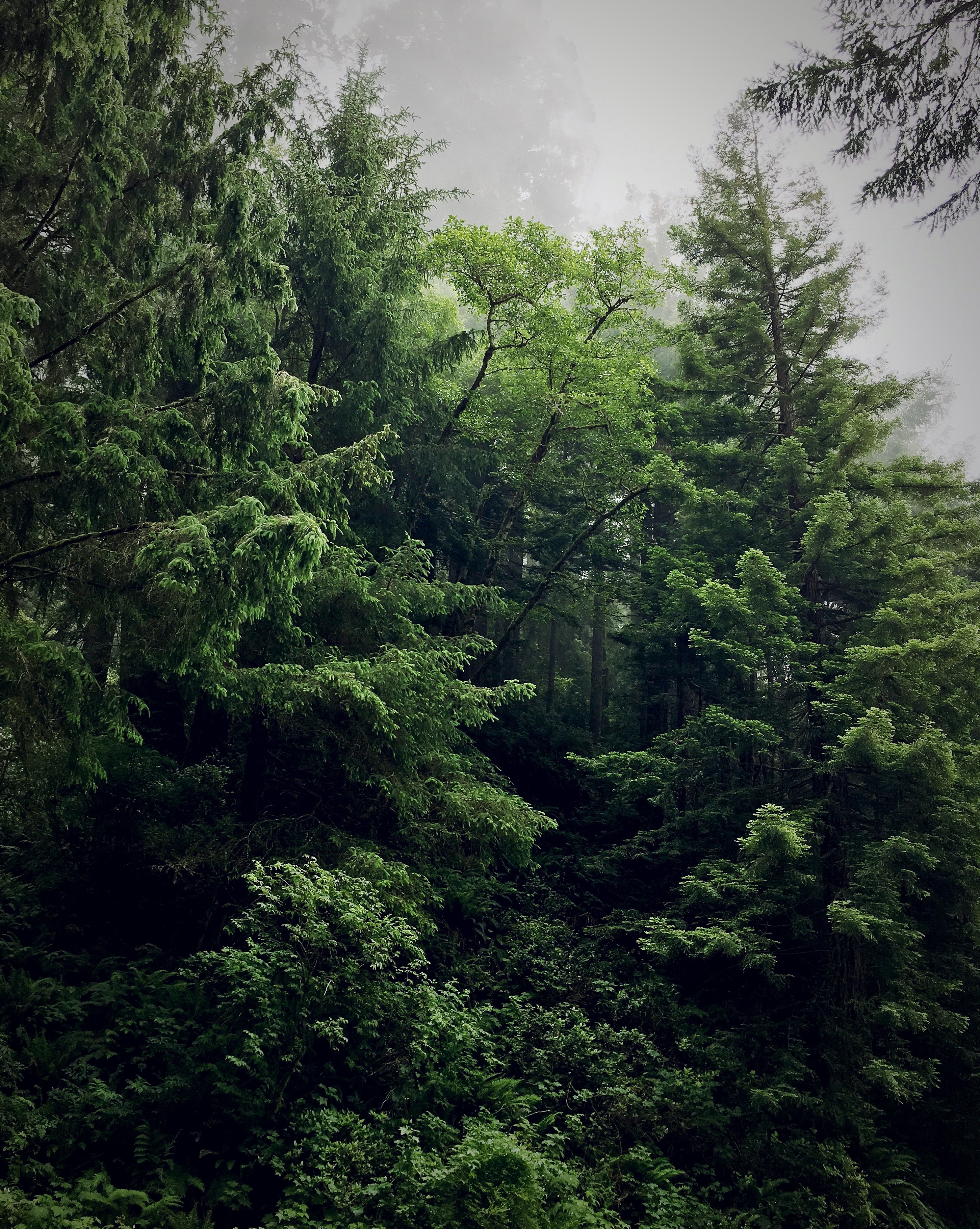 kayla-327677-unsplash