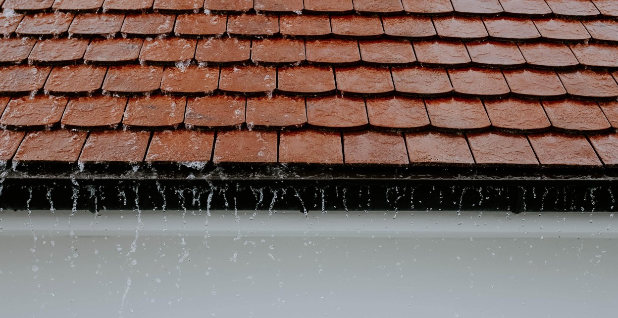 adrien-olichon-wBMof4BVMWA-unsplash