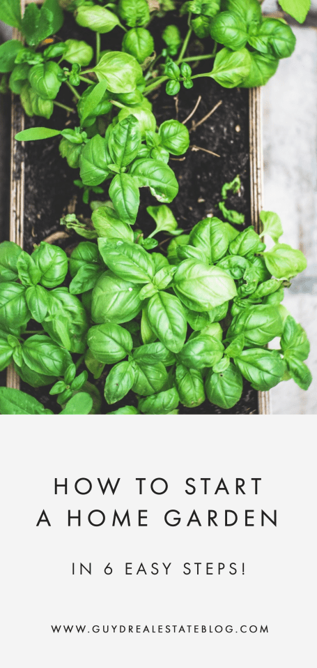 How to Start a Home Garden